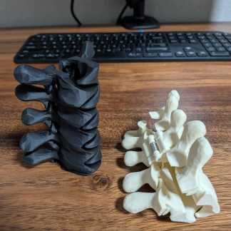 Vertebrae Hair Claw Clip