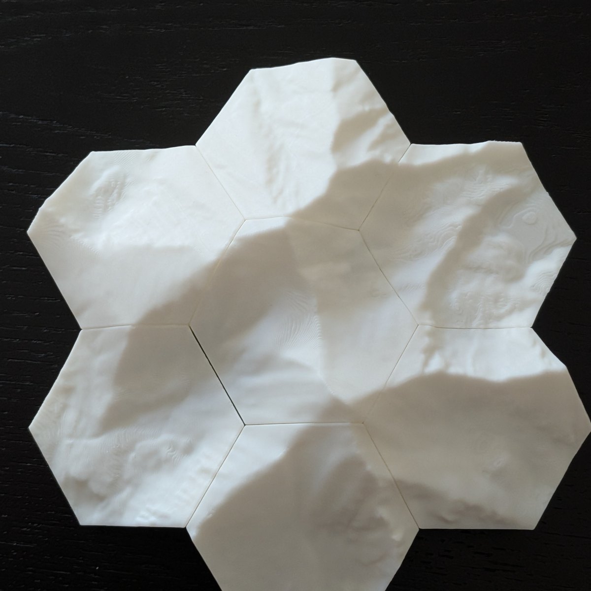 Seven hexagonal topographic tiles assembled into a disc, photographed from directly above on a dark surface